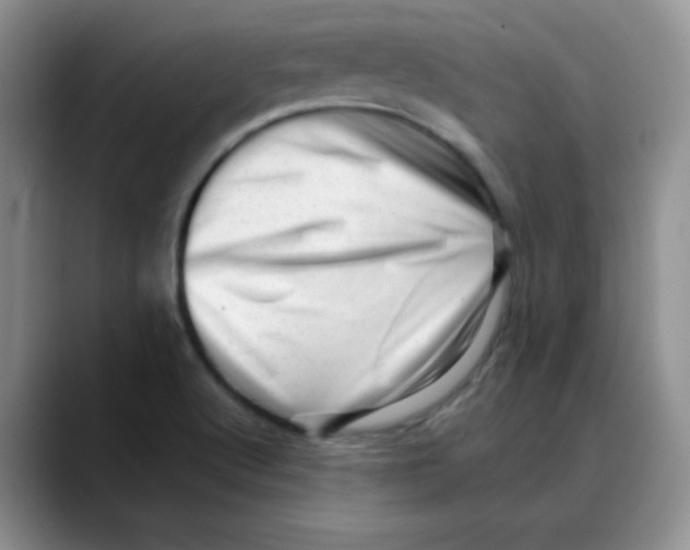 X0000088441512200706121459