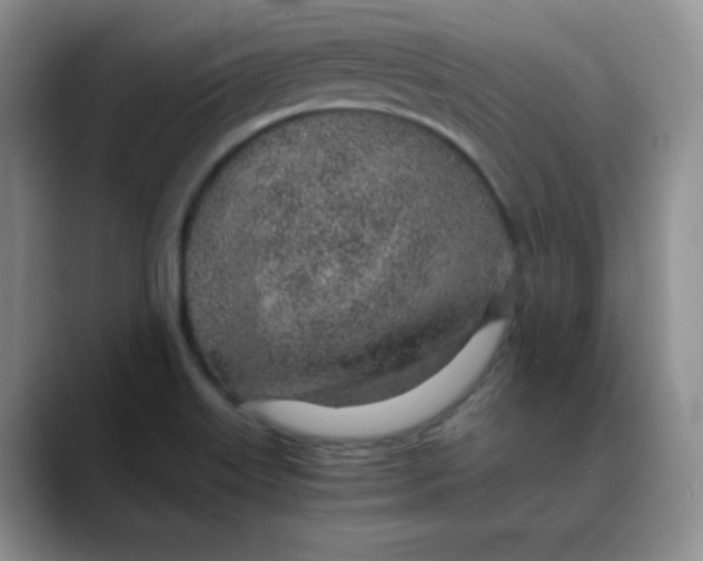 X0000088441515200706121459