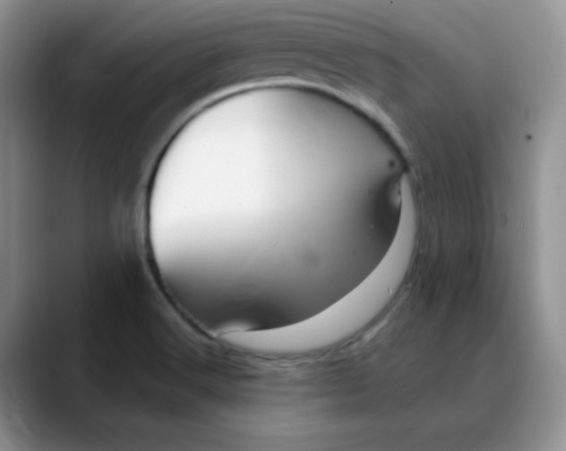 X0000088441516200706121459