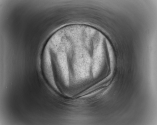 X0000088441517200706121459