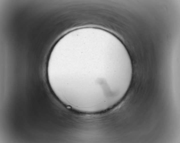 X0000088441518200706121459
