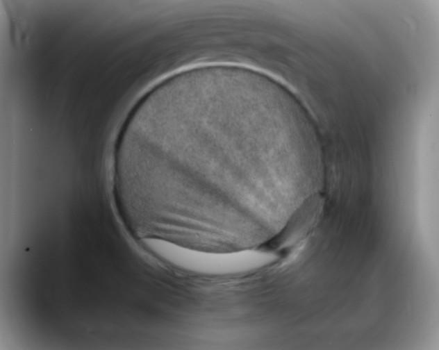 X0000088441519200706121459