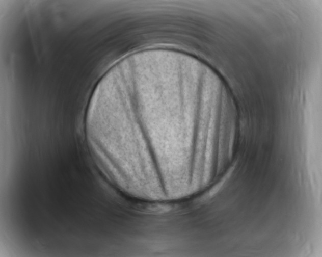 X0000088441521200706121459