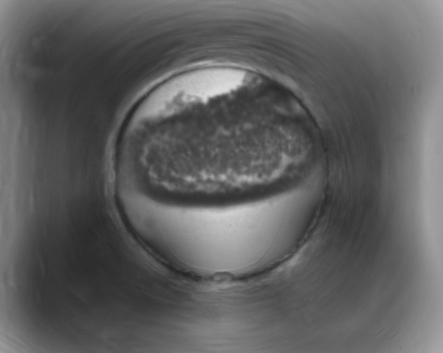 X0000088441522200706121459