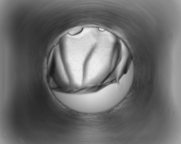 X0000088441524200706121459