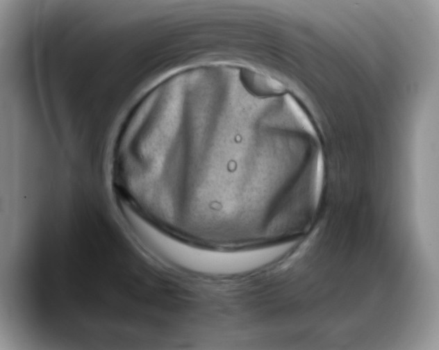 X0000088441525200706121459