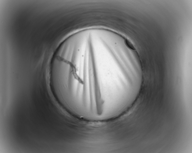 X0000088441526200706121459