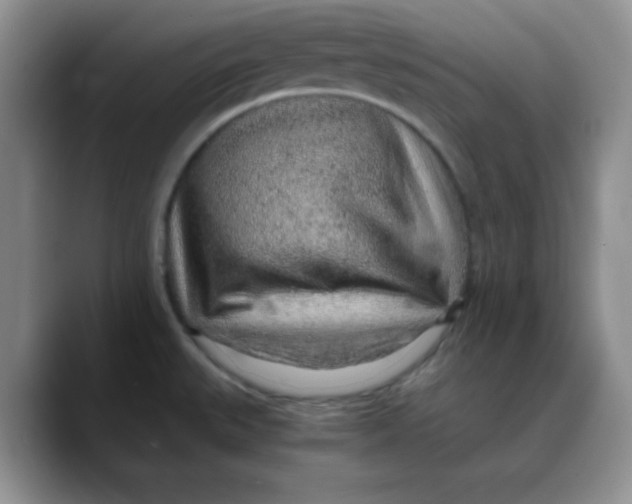 X0000088441527200706121459