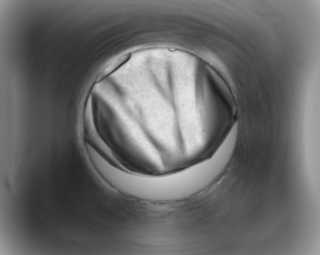 X0000088441528200706121459