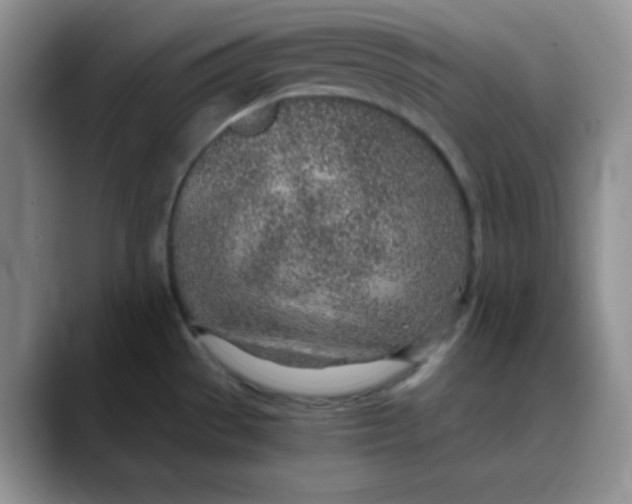 X0000088441529200706121459