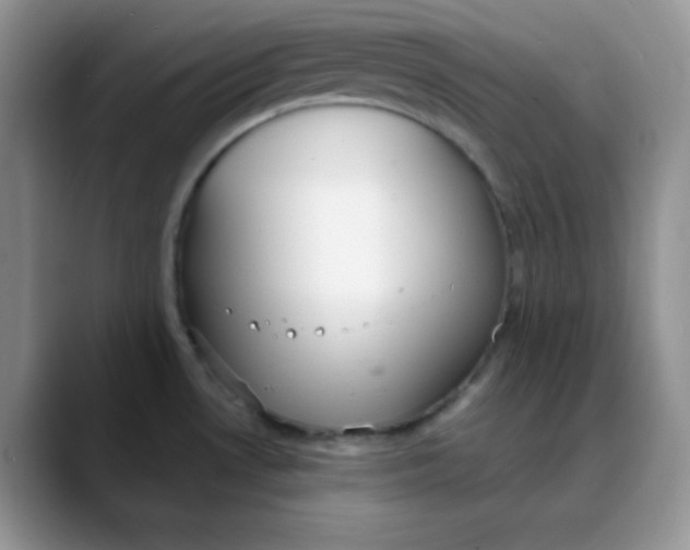 X0000088441530200706121459
