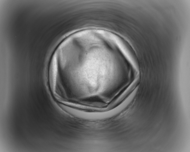 X0000088441531200706121459