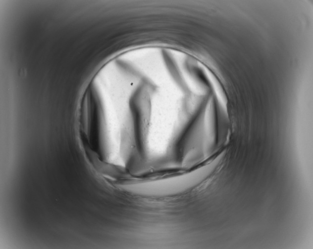 X0000088441532200706121459
