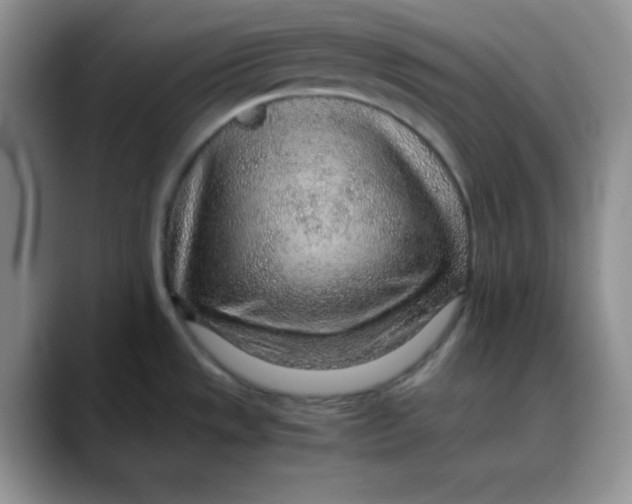 X0000088441533200706121459