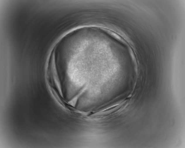 X0000088441536200706121459