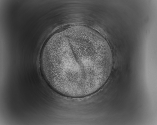 X0000088440002200706191301