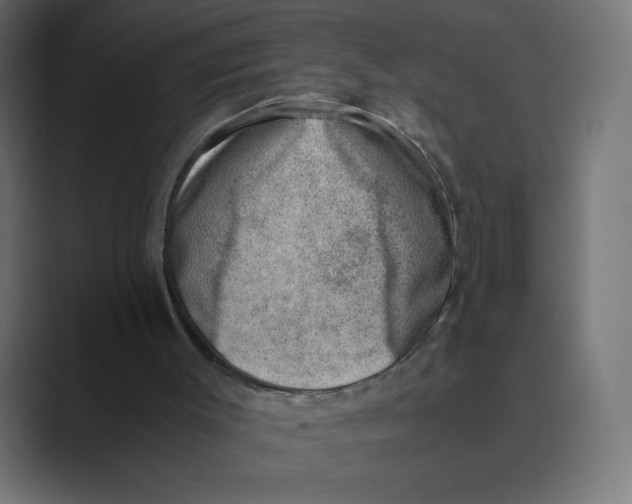 X0000088440003200706191301