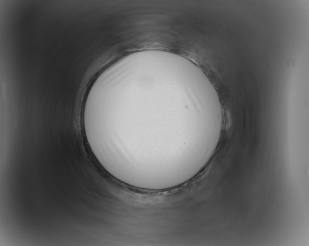 X0000088440004200706191301