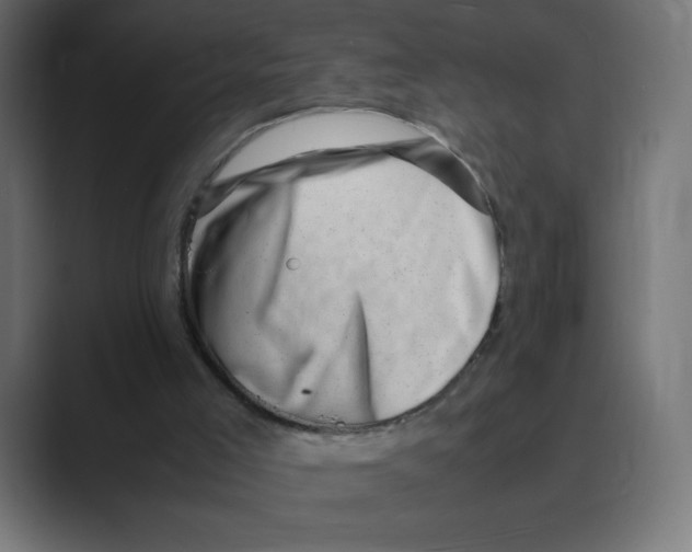 X0000088440005200706191301