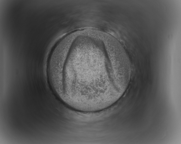 X0000088440006200706191301