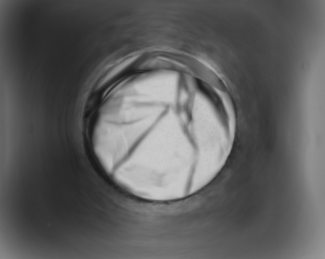 X0000088440007200706191301