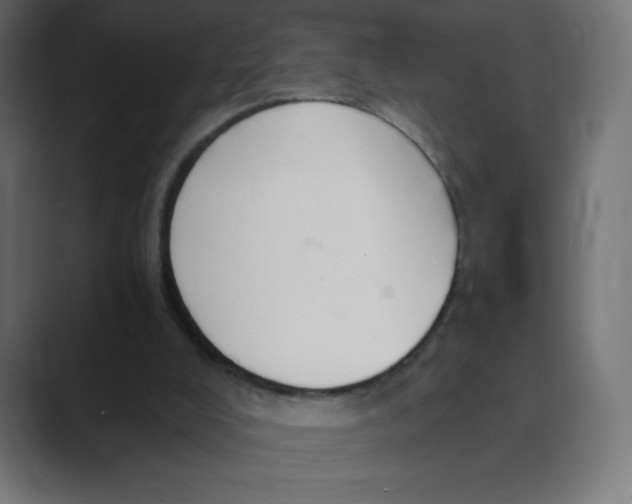 X0000088440008200706191301