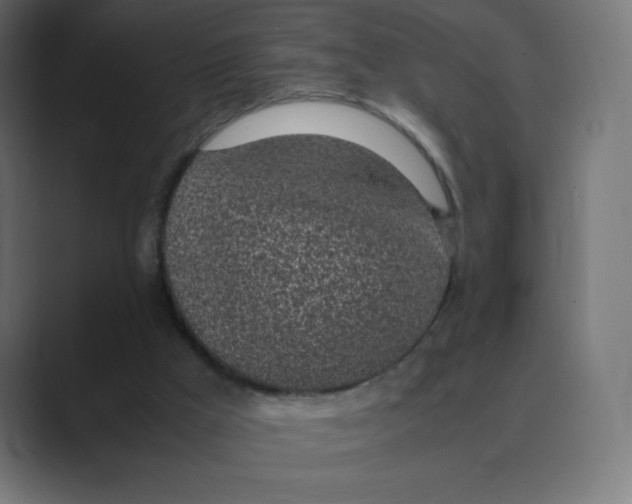 X0000088440009200706191301