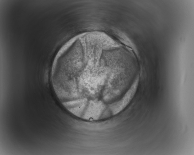 X0000088440010200706191301