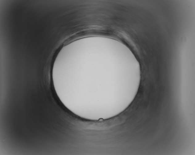 X0000088440011200706191301