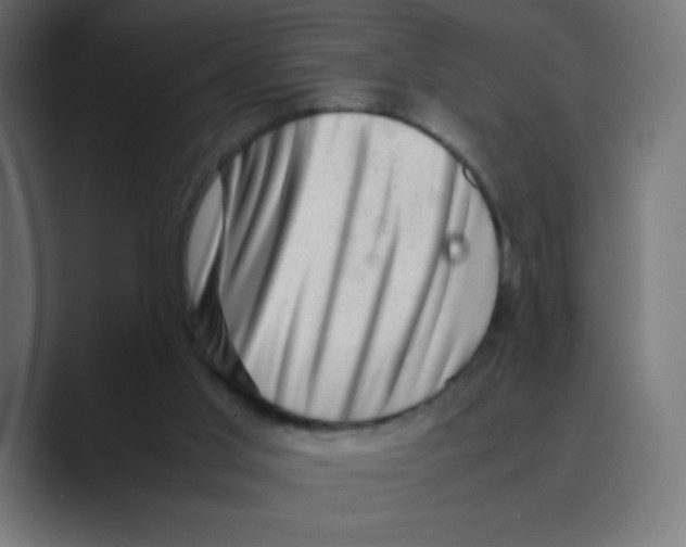 X0000088440013200706191301