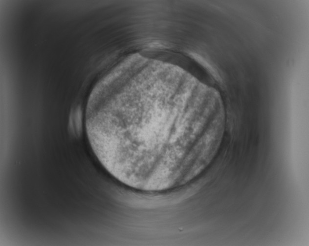 X0000088440014200706191301