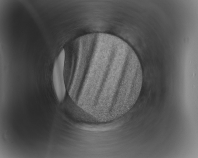 X0000088440017200706191301
