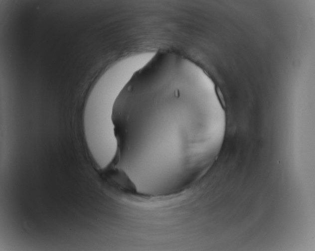 X0000088440019200706191301