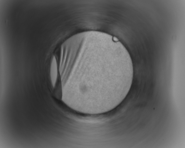 X0000088440020200706191301