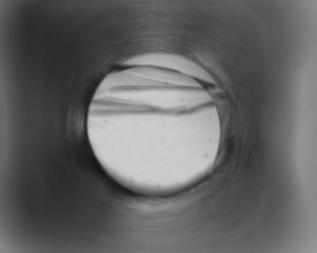 X0000088440021200706191301