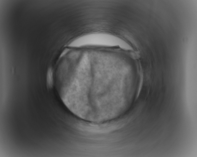 X0000088440022200706191301