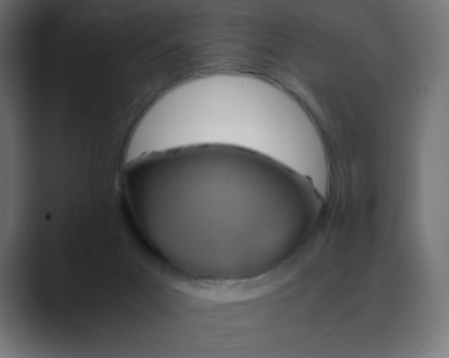 X0000088440023200706191301