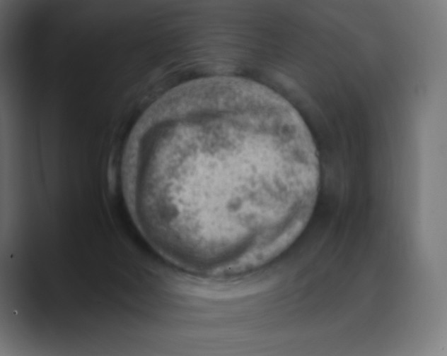 X0000088440026200706191301
