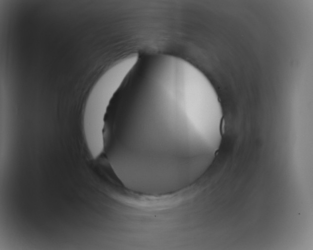 X0000088440027200706191301
