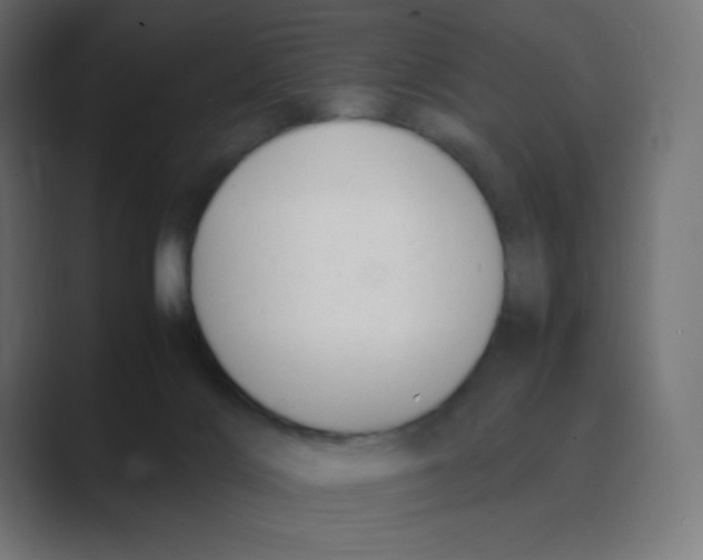 X0000088440028200706191301