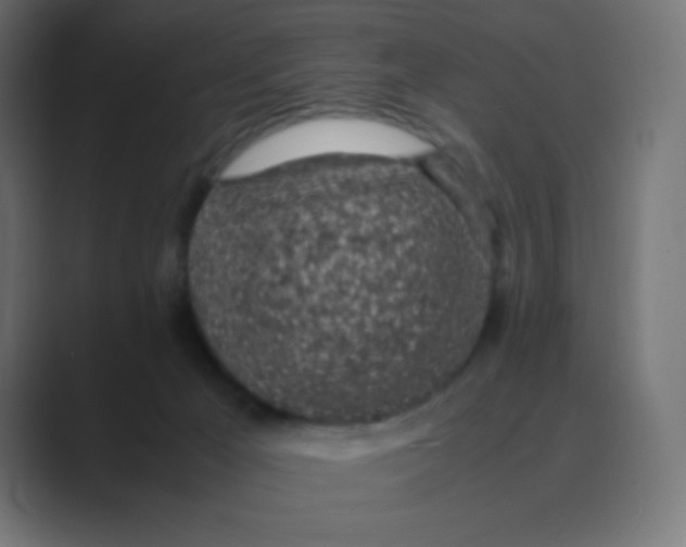 X0000088440029200706191301