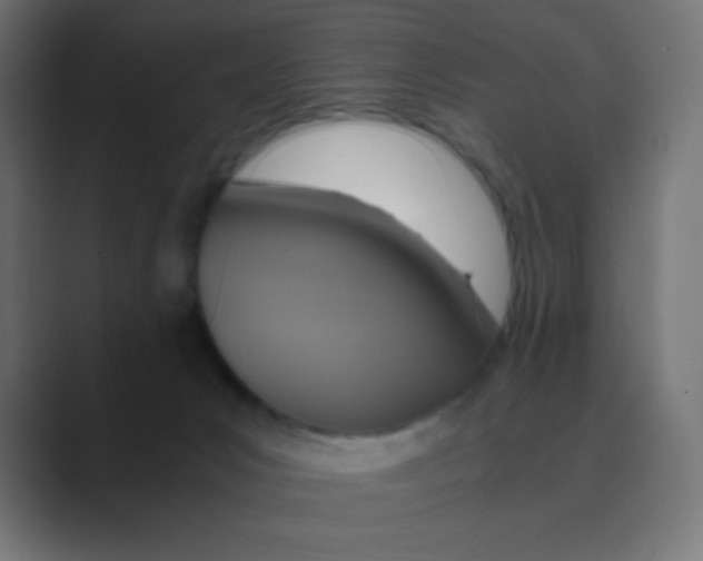 X0000088440031200706191301
