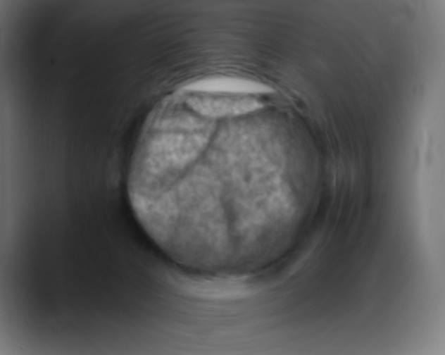 X0000088440032200706191301