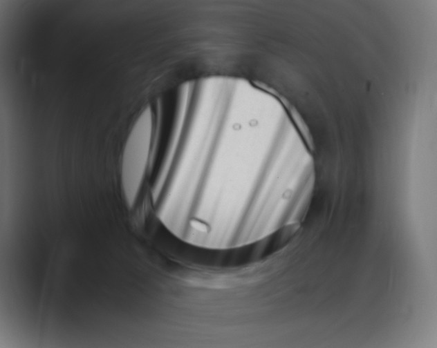 X0000088440033200706191301