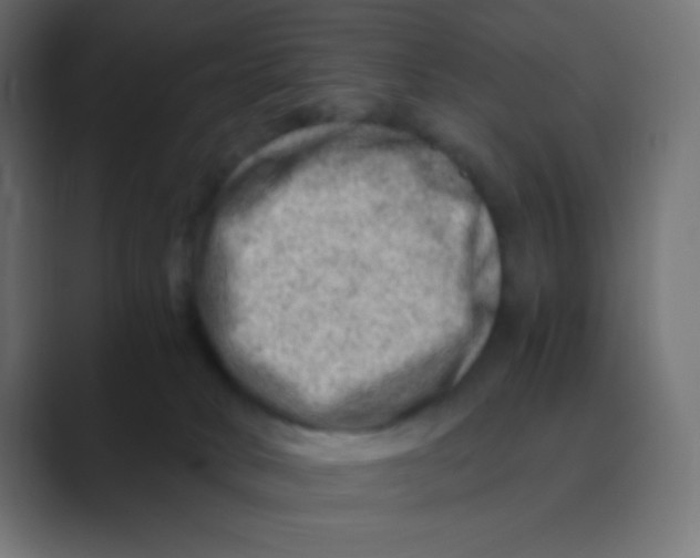 X0000088440034200706191301