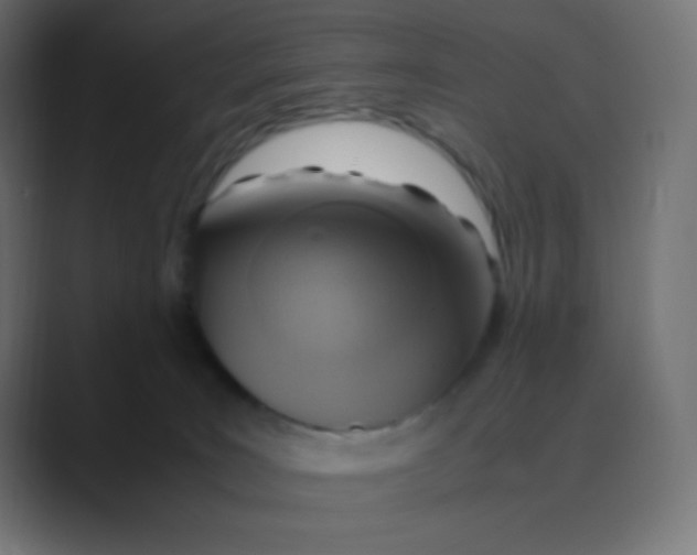 X0000088440035200706191301