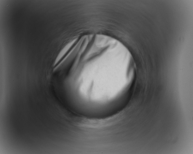 X0000088440037200706191301