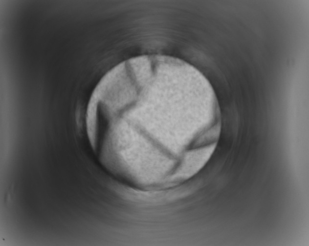 X0000088440038200706191301