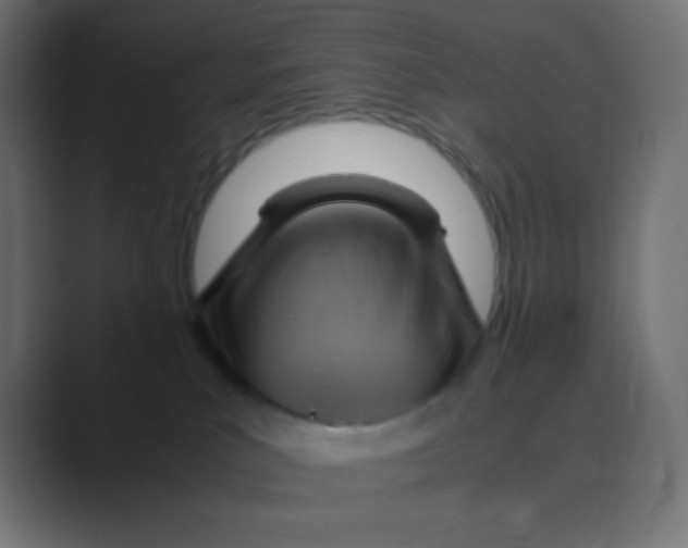 X0000088440039200706191301