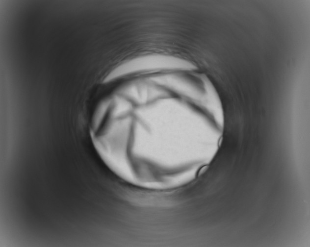 X0000088440040200706191301